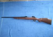 Savage 110 GXP3 30-06 Bolt action.
