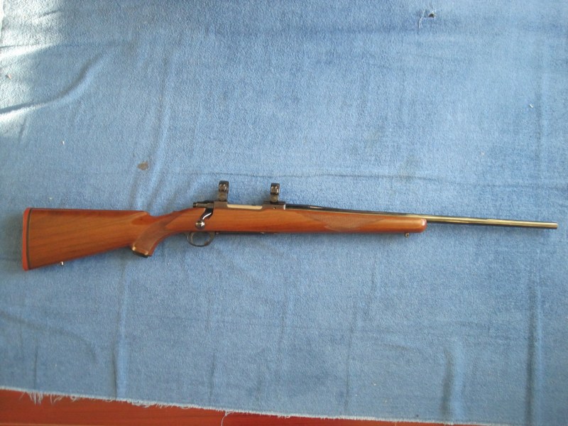 Ruger M77 tang safety in 308 win.