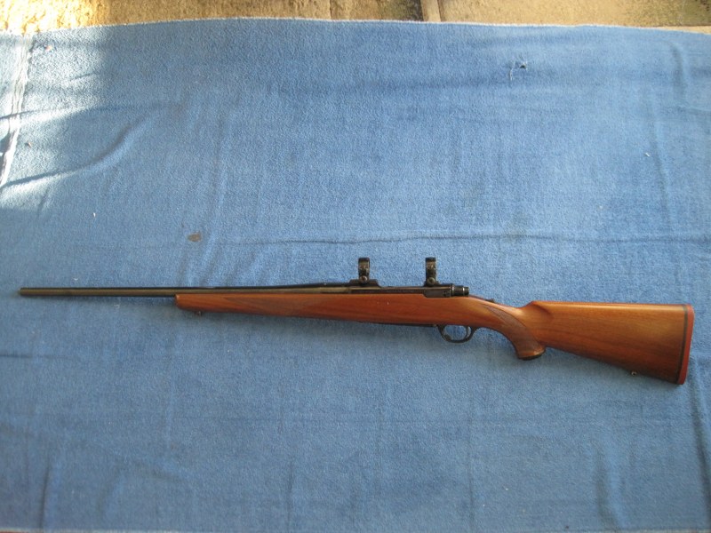 Ruger M77 tang safety in 308 win.