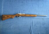 Ruger 10/22 Target, Semi-Automatic Rifle