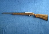 Ruger 10/22 Target, Semi-Automatic Rifle