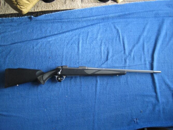 Sako Model 85M Finnlight 243 Win. Stainless