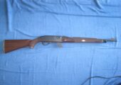 Remington 66 Nylon .22LR