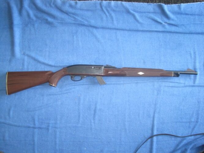 Remington 66 Nylon .22LR