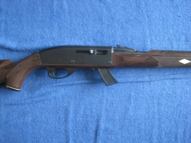 Remington 66 Nylon .22LR