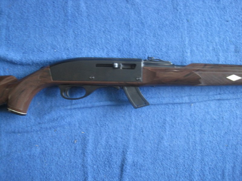 Remington 66 Nylon .22LR