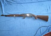 Remington 66 Nylon .22LR
