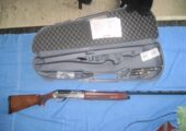 Benelli Sport II Silver Shotgun 12 Ga.