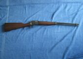 Browning BL-22 .22 S/L/LR Lever action.