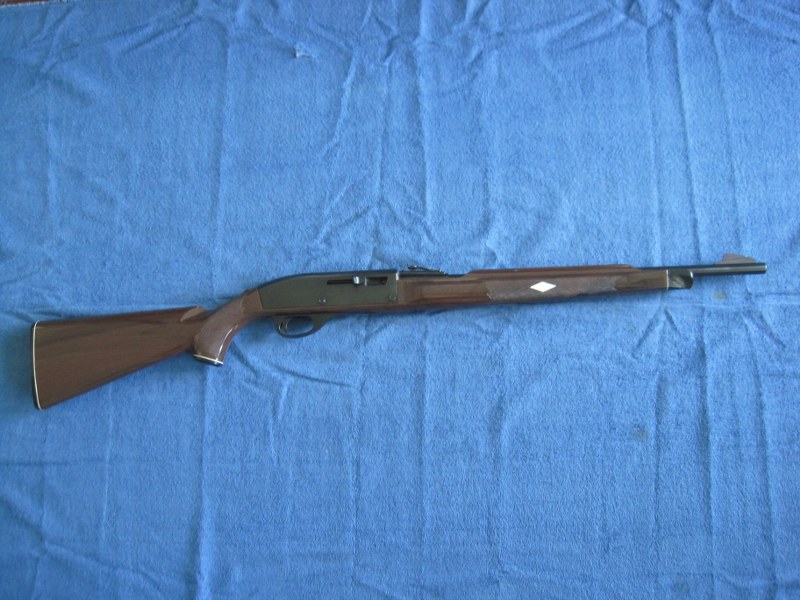 Remington 66 Nylon .22LR
