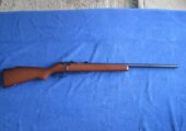 Marlin 917V 17 HMR.