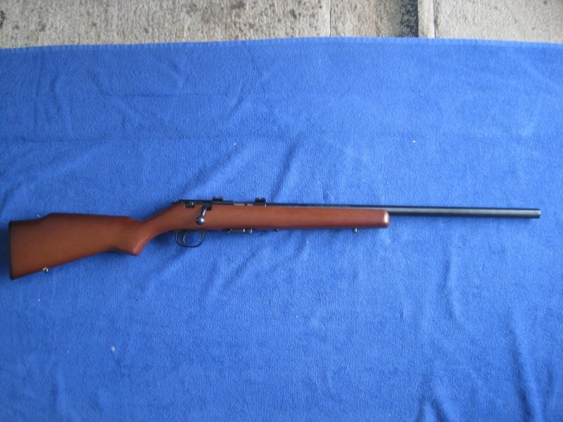 Marlin 917V 17 HMR.