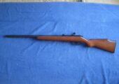 Marlin 917V 17 HMR.