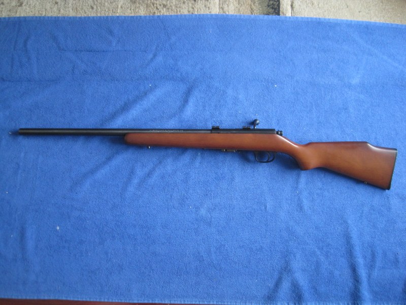 Marlin 917V 17 HMR.