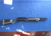 Axor Arms FS-PRO Folding 12 GA. Gas Operated Semi Auto