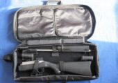 Ruger 10/22 22LR Takedown Stainless Semi-Auto Rifle.