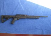 Spectre Ballistics ST-22 Raptor 22 LR Semi Auto.